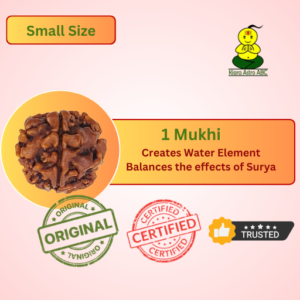 1 Mukhi Rudraksha small– Origin: Nepal