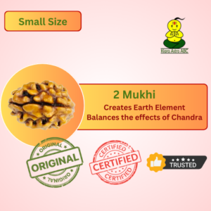 2 Mukhi Nepal Rudraksha (Small Size)
