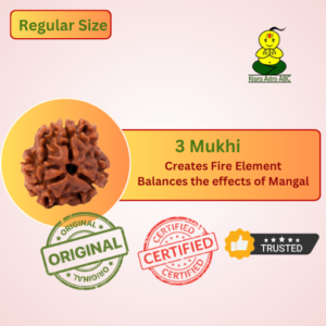 3 Mukhi Nepal Rudraksha (Regular Size)