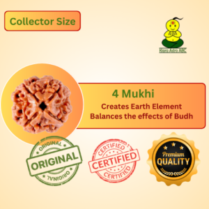 4 Mukhi Nepal Rudraksha Premium Quality