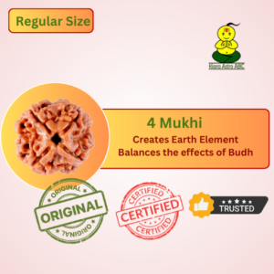 4 Mukhi Nepal Rudraksha (Regular Size)