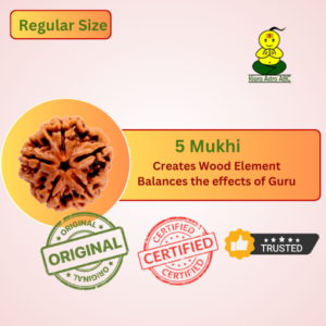 5 Mukhi Nepal Rudraksha (Regular Size)
