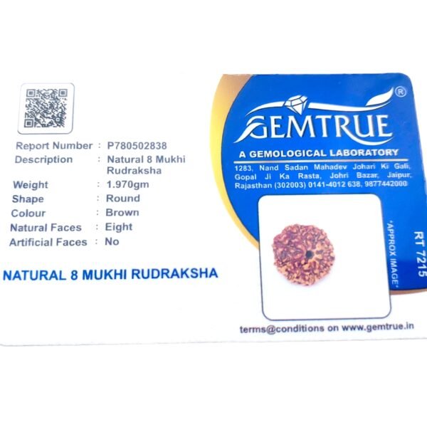 8 Mukhi Nepal Rudraksha Premium Quality - Image 2