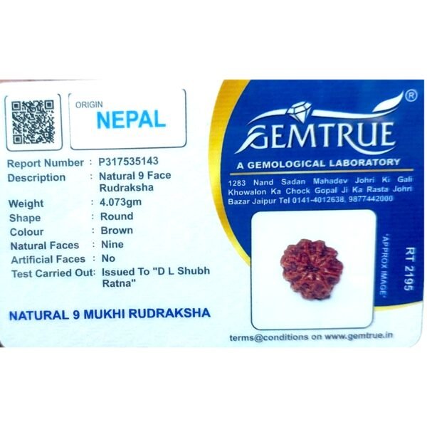 9 Mukhi Nepal Rudraksha Premium Quality - Image 2